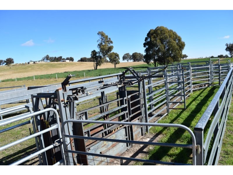 Five Wire 524 Westbrook Road, Guyra NSW 2365