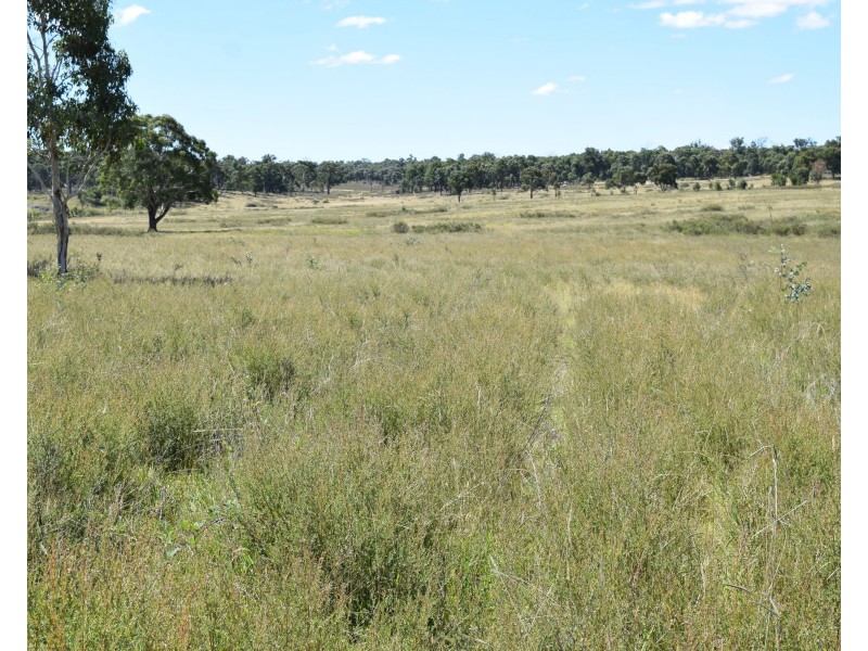 Big Mill 523 Westbrook Road, Guyra NSW 2365