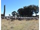 Deer Park 2106 Baldersleigh Road, Guyra NSW 2365