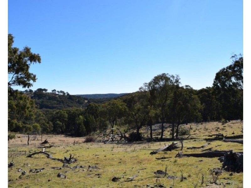 Deer Park 2106 Baldersleigh Road, Guyra NSW 2365