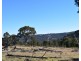 Deer Park 2106 Baldersleigh Road, Guyra NSW 2365