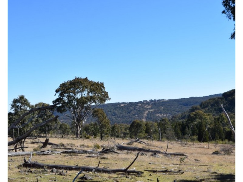 Deer Park 2106 Baldersleigh Road, Guyra NSW 2365
