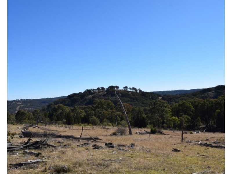 Deer Park 2106 Baldersleigh Road, Guyra NSW 2365