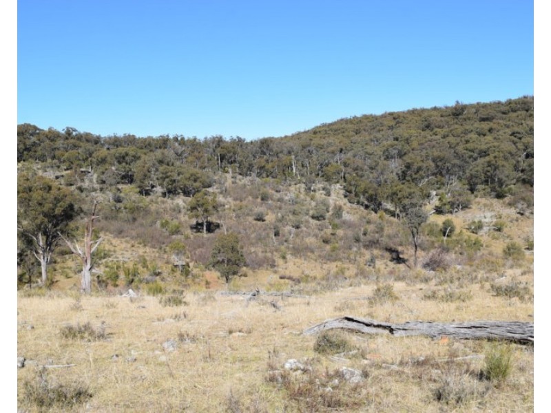 Deer Park 2106 Baldersleigh Road, Guyra NSW 2365