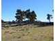 Deer Park 2106 Baldersleigh Road, Guyra NSW 2365