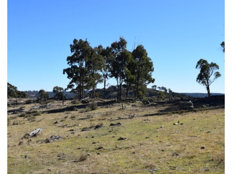 Deer Park 2106 Baldersleigh Road, Guyra NSW 2365