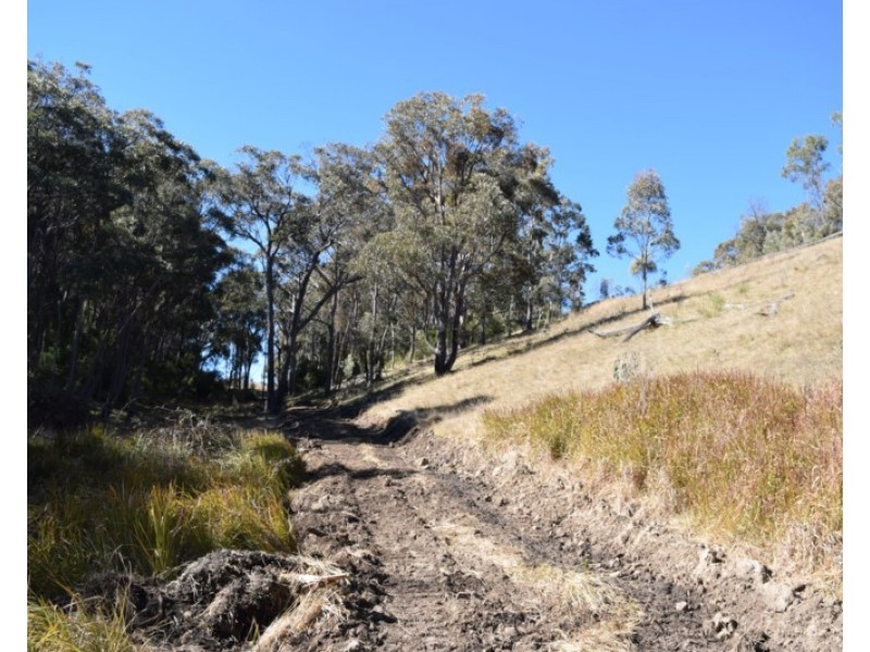 Deer Park 2106 Baldersleigh Road, Guyra NSW 2365