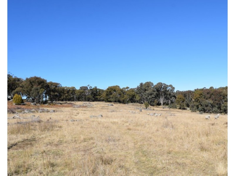 Deer Park 2106 Baldersleigh Road, Guyra NSW 2365