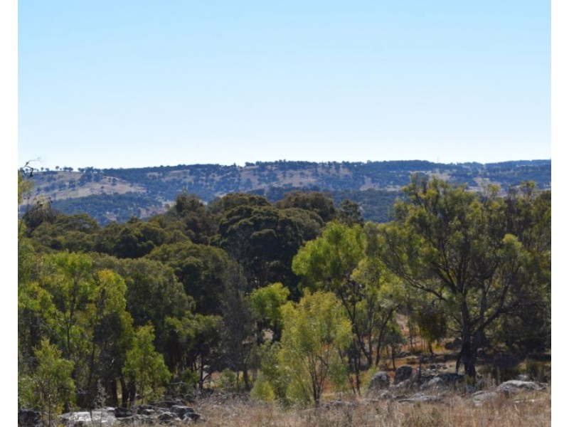 Deer Park 2106 Baldersleigh Road, Guyra NSW 2365