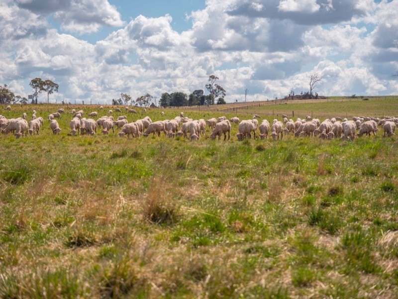 Otterbourne 506 Enmore Road, Armidale NSW 2350