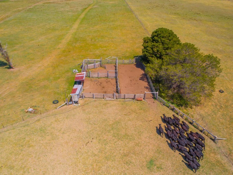 Otterbourne 506 Enmore Road, Armidale NSW 2350