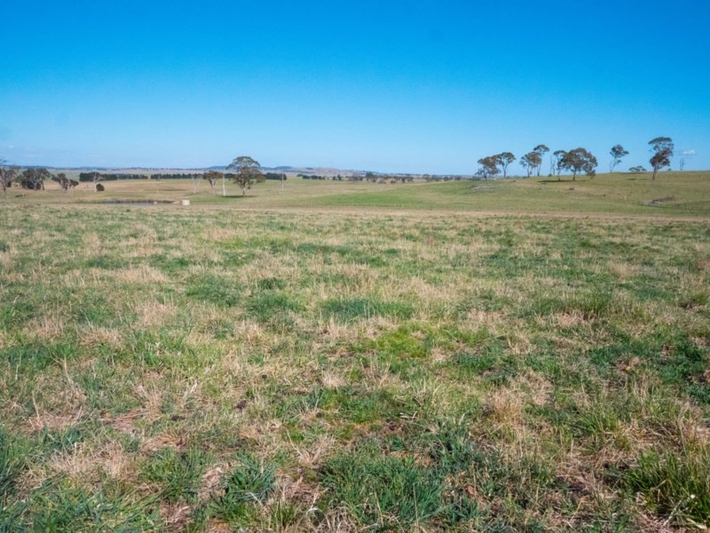 Otterbourne 506 Enmore Road, Armidale NSW 2350