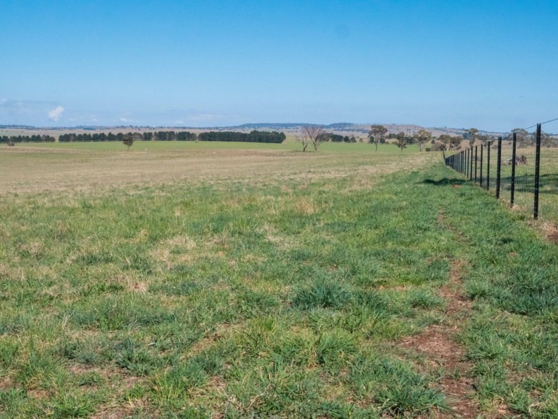 Otterbourne 506 Enmore Road, Armidale NSW 2350