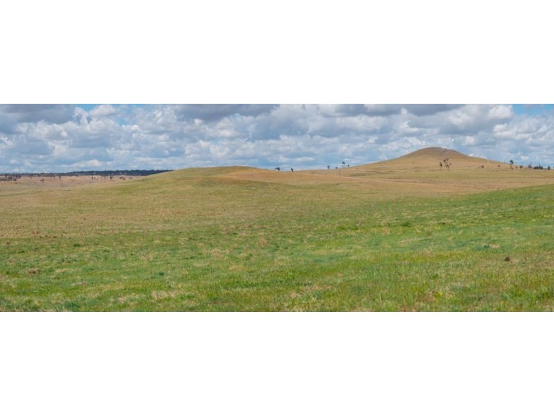 Otterbourne 506 Enmore Road, Armidale NSW 2350