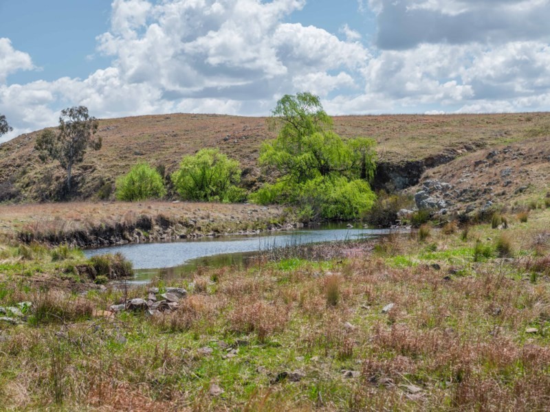 Otterbourne 506 Enmore Road, Armidale NSW 2350