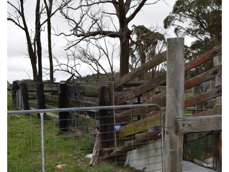 372 Rays Road, Black Mountain NSW 2365