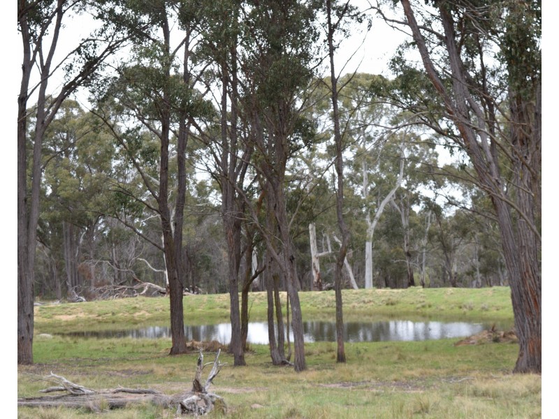 372 Rays Road, Black Mountain NSW 2365