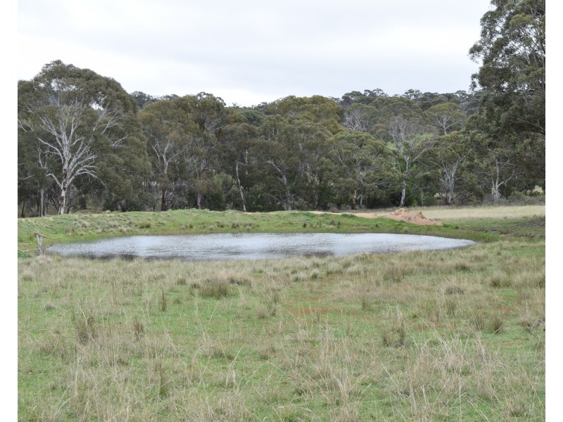 372 Rays Road, Black Mountain NSW 2365