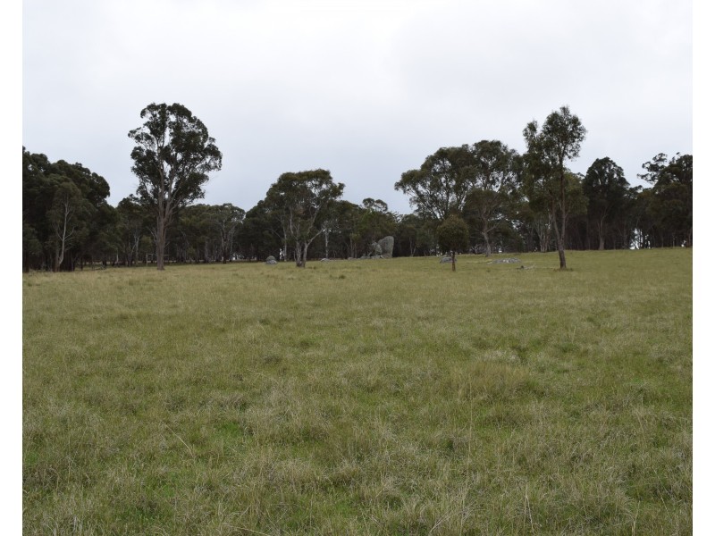 372 Rays Road, Black Mountain NSW 2365