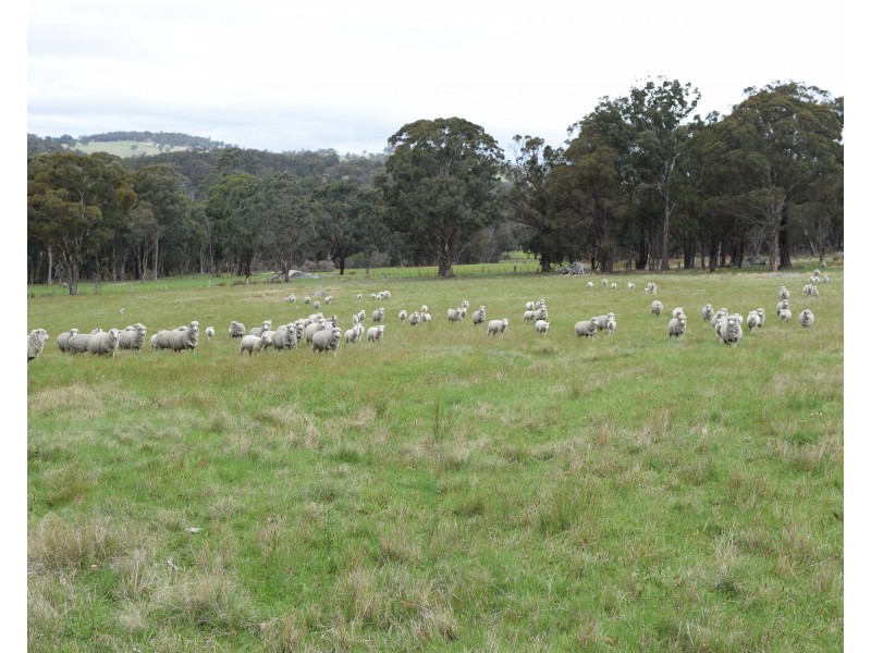 372 Rays Road, Black Mountain NSW 2365