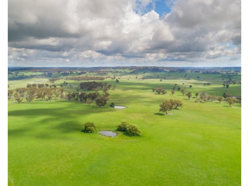 Earlstoun 126 Earlstoun Road, Guyra NSW 2365