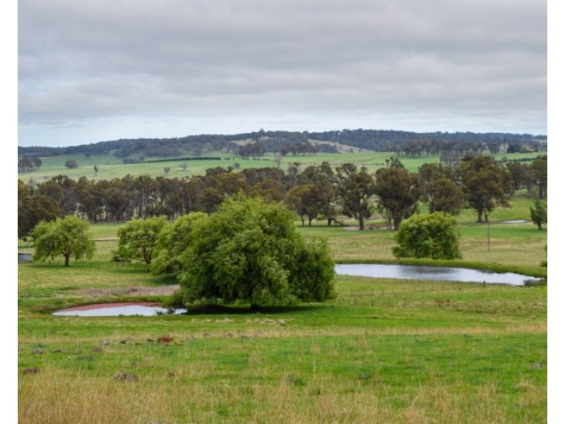 Earlstoun 126 Earlstoun Road, Guyra NSW 2365