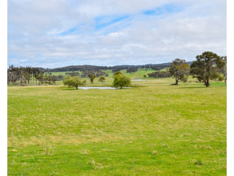 Earlstoun 126 Earlstoun Road, Guyra NSW 2365