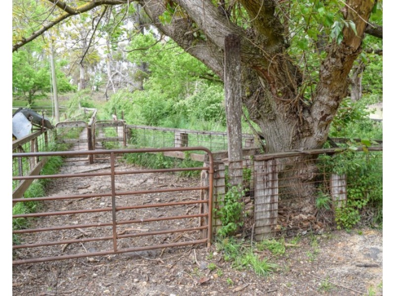 Earlstoun 126 Earlstoun Road, Guyra NSW 2365