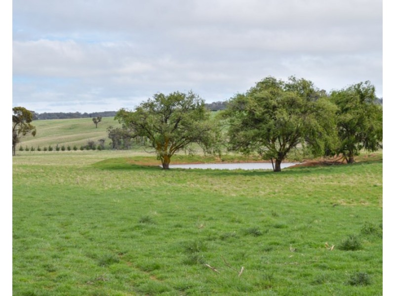 Earlstoun 126 Earlstoun Road, Guyra NSW 2365