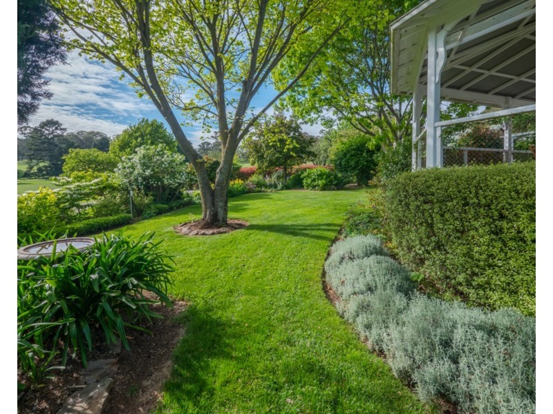 Old Belmont196 Toms Gully Road, Black Mountain NSW 2365