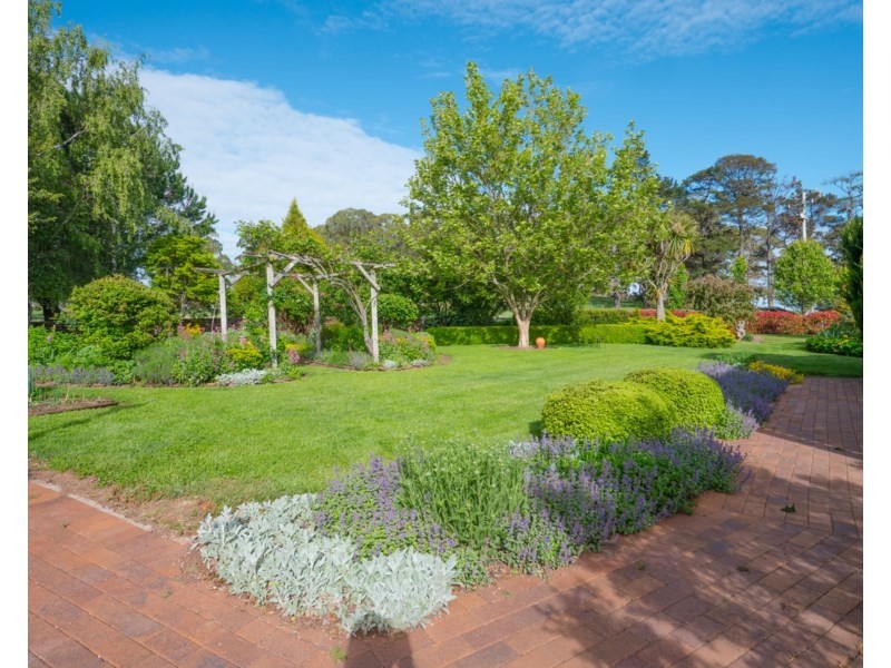 Old Belmont196 Toms Gully Road, Black Mountain NSW 2365