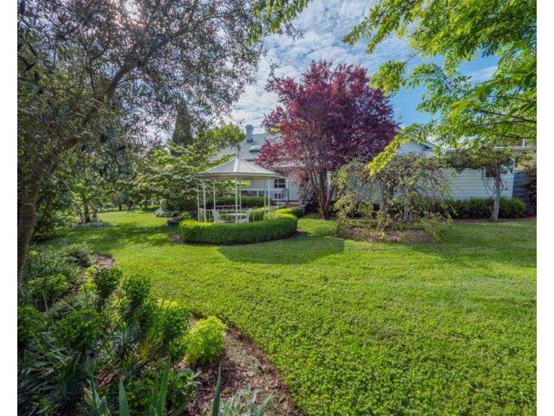 Old Belmont196 Toms Gully Road, Black Mountain NSW 2365