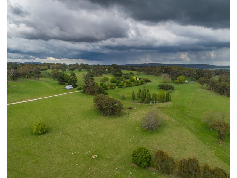 Old Belmont196 Toms Gully Road, Black Mountain NSW 2365