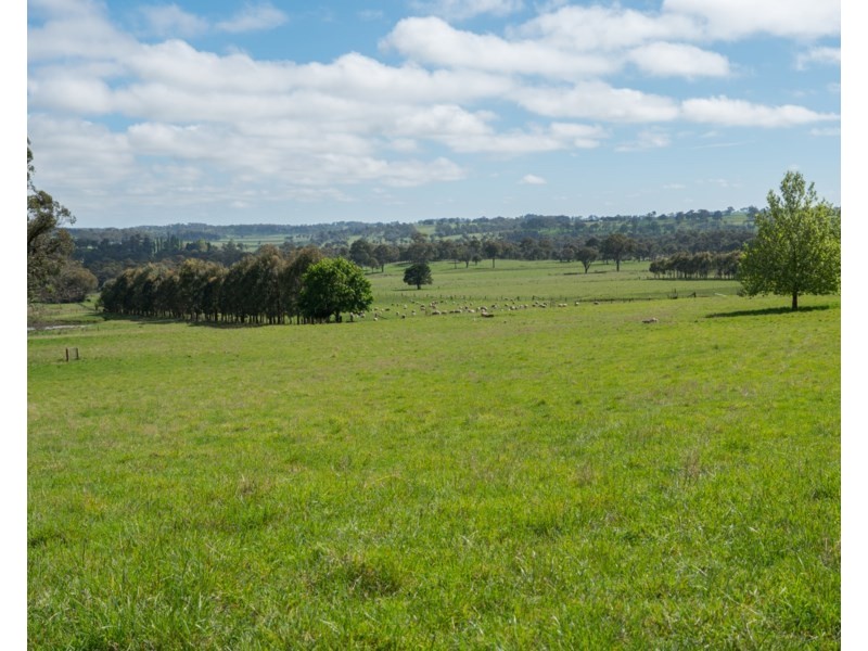 Old Belmont196 Toms Gully Road, Black Mountain NSW 2365