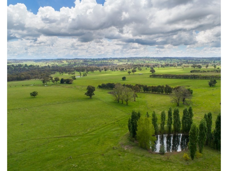 Old Belmont196 Toms Gully Road, Black Mountain NSW 2365