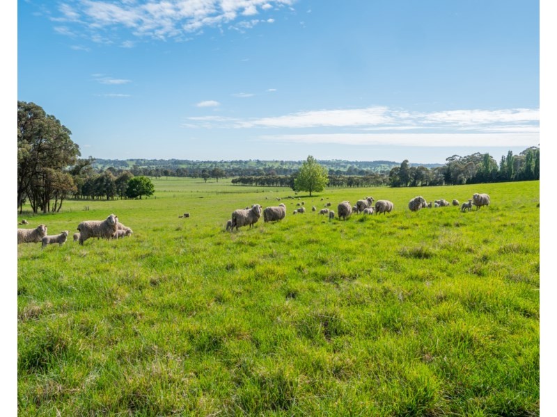 Old Belmont196 Toms Gully Road, Black Mountain NSW 2365
