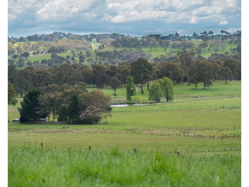 Old Belmont196 Toms Gully Road, Black Mountain NSW 2365