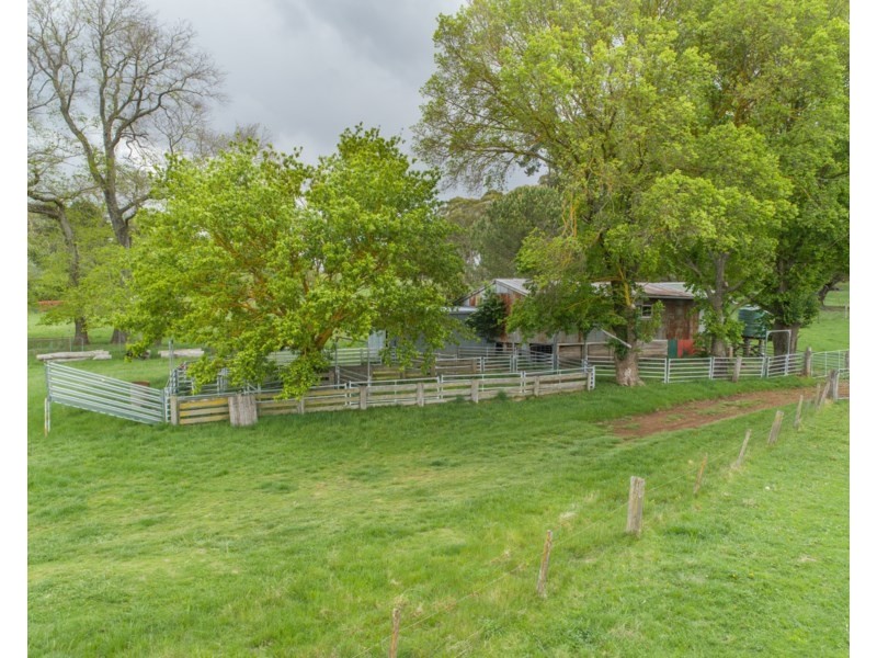 Old Belmont196 Toms Gully Road, Black Mountain NSW 2365