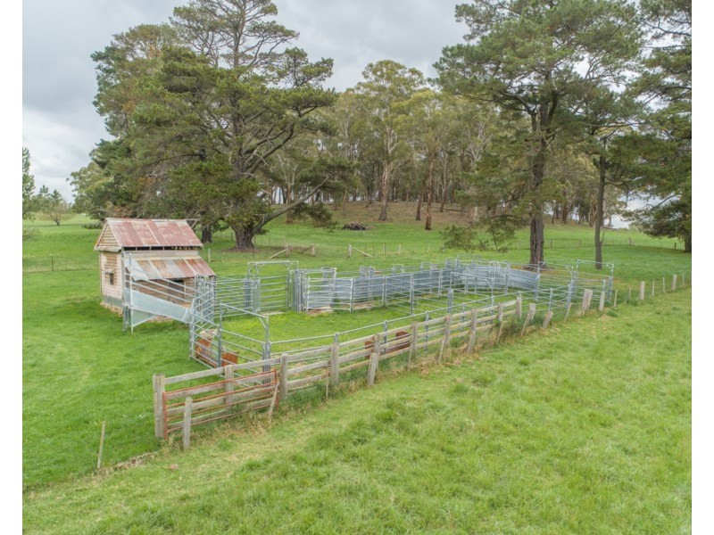 Old Belmont196 Toms Gully Road, Black Mountain NSW 2365
