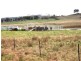 Guyra NSW 2365