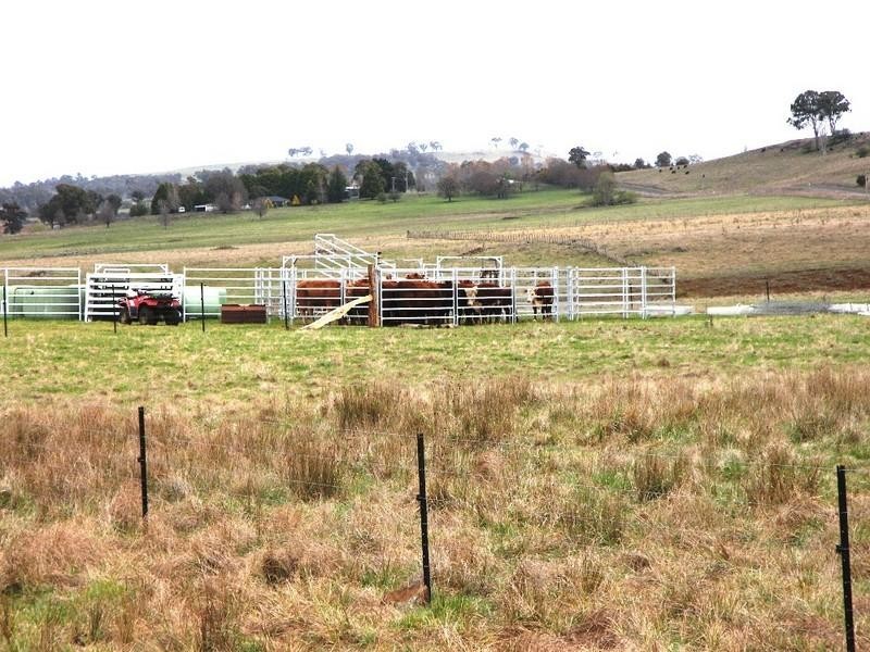 Guyra NSW 2365