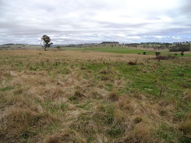 Guyra NSW 2365