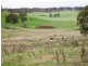 Guyra NSW 2365