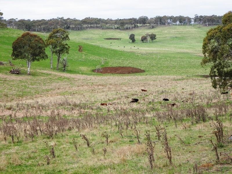 Guyra NSW 2365