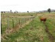 Guyra NSW 2365