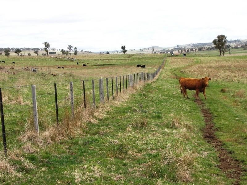 Guyra NSW 2365