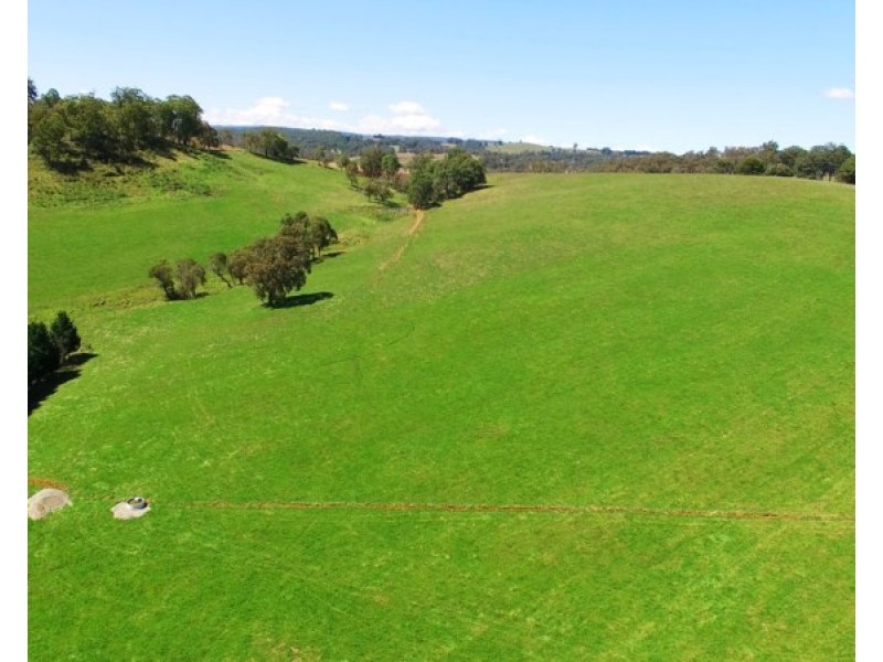 Seymour, 5836 Brackendale Road, Nowendoc NSW 2354
