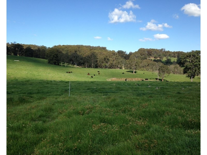 Seymour, 5836 Brackendale Road, Nowendoc NSW 2354