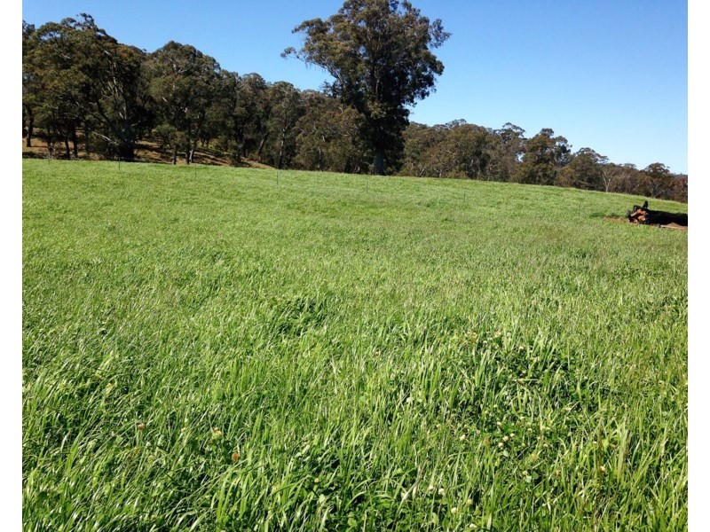 Seymour, 5836 Brackendale Road, Nowendoc NSW 2354