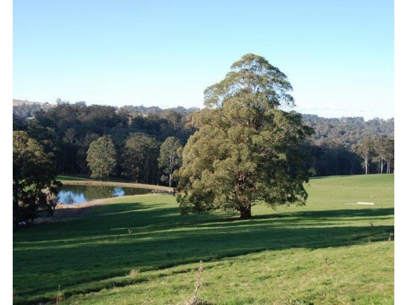 Seymour, 5836 Brackendale Road, Nowendoc NSW 2354